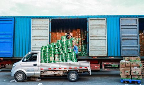 電商扎堆愛心助農,淘寶拔得頭籌做對了什么